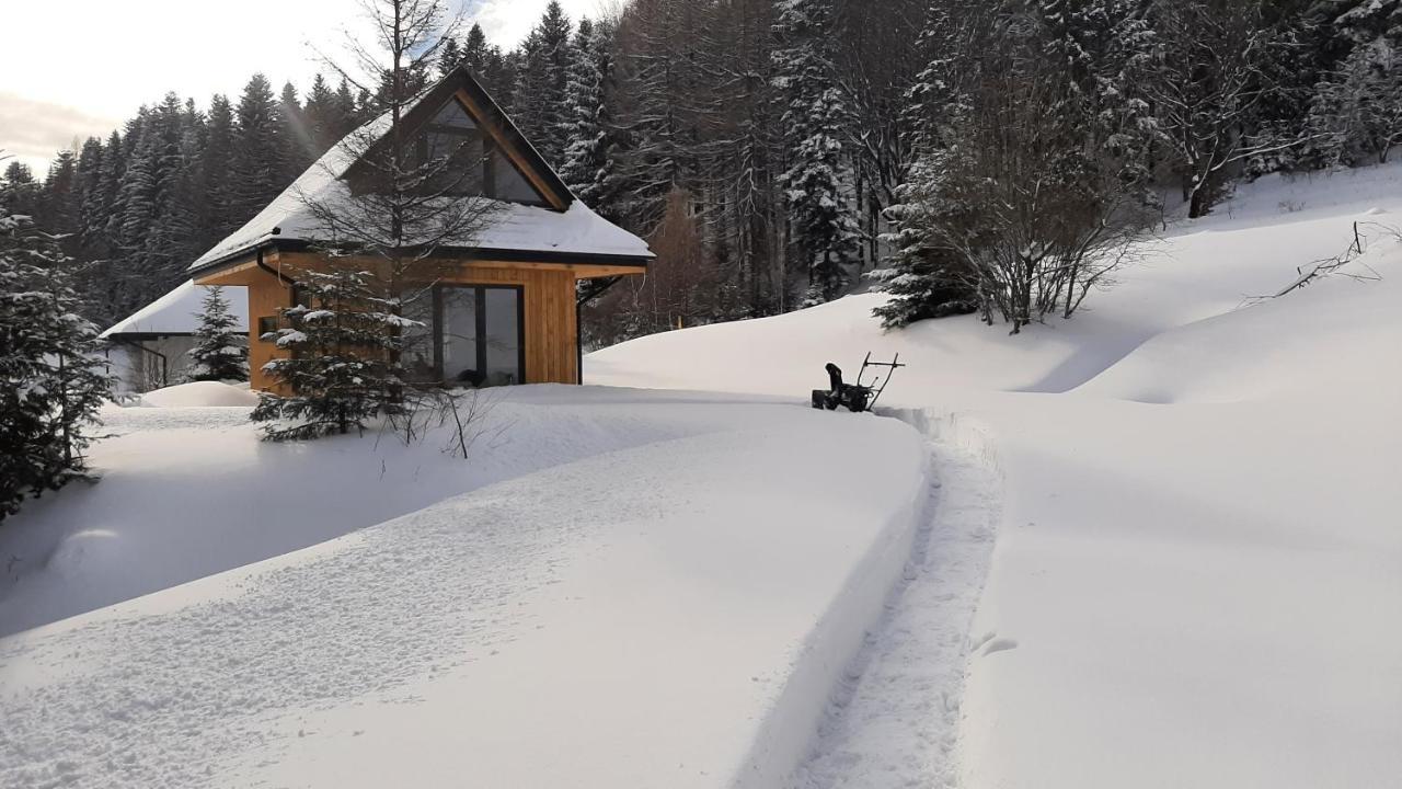 Domki Krynica Villa Luaran gambar